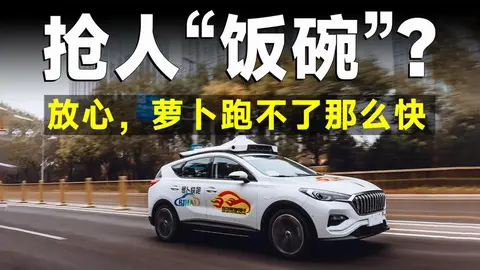 从“萝卜”之困到“特斯拉”之问:无人驾驶在中国市场“双重奏”